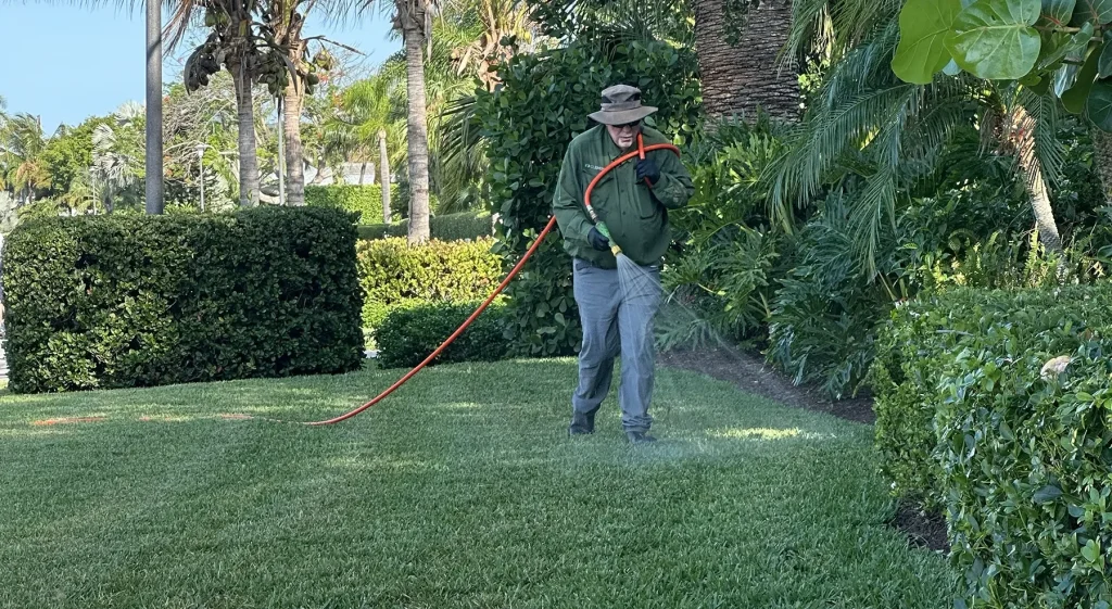Why Altamonte Springs Homes Develop Pest Problems After Landscaping Changes